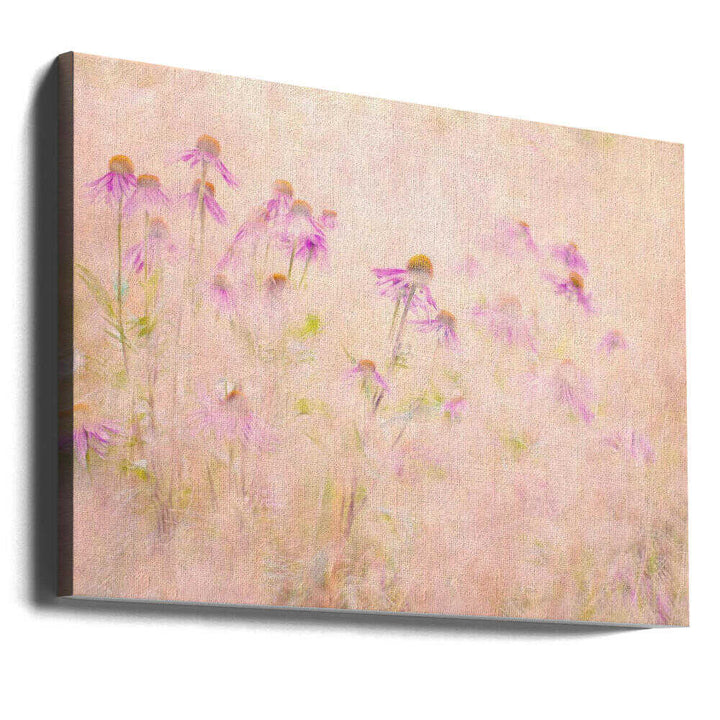 Dreamy Pink Coneflowers - Floral Photographic Stretched Canvas Poster or Fine Art Print