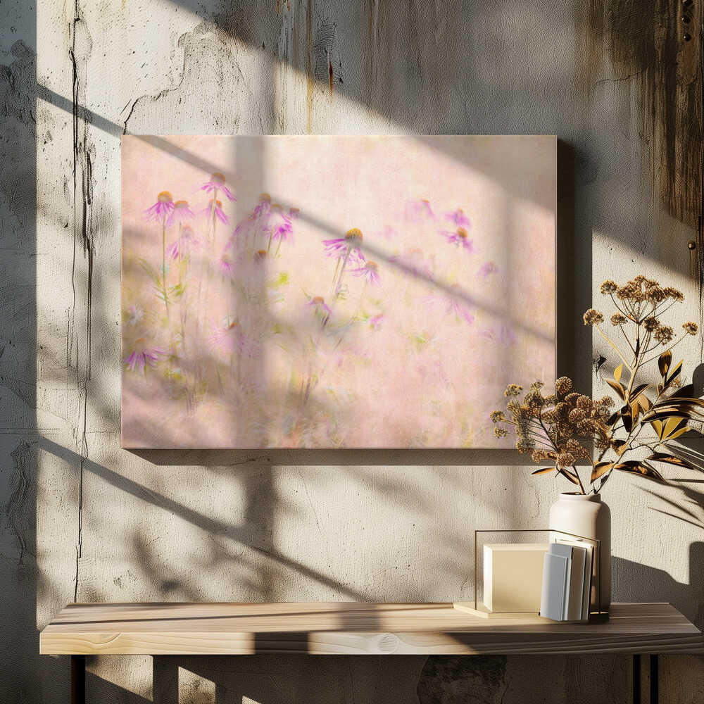 Dreamy Pink Coneflowers - Floral Photographic Stretched Canvas Poster or Fine Art Print