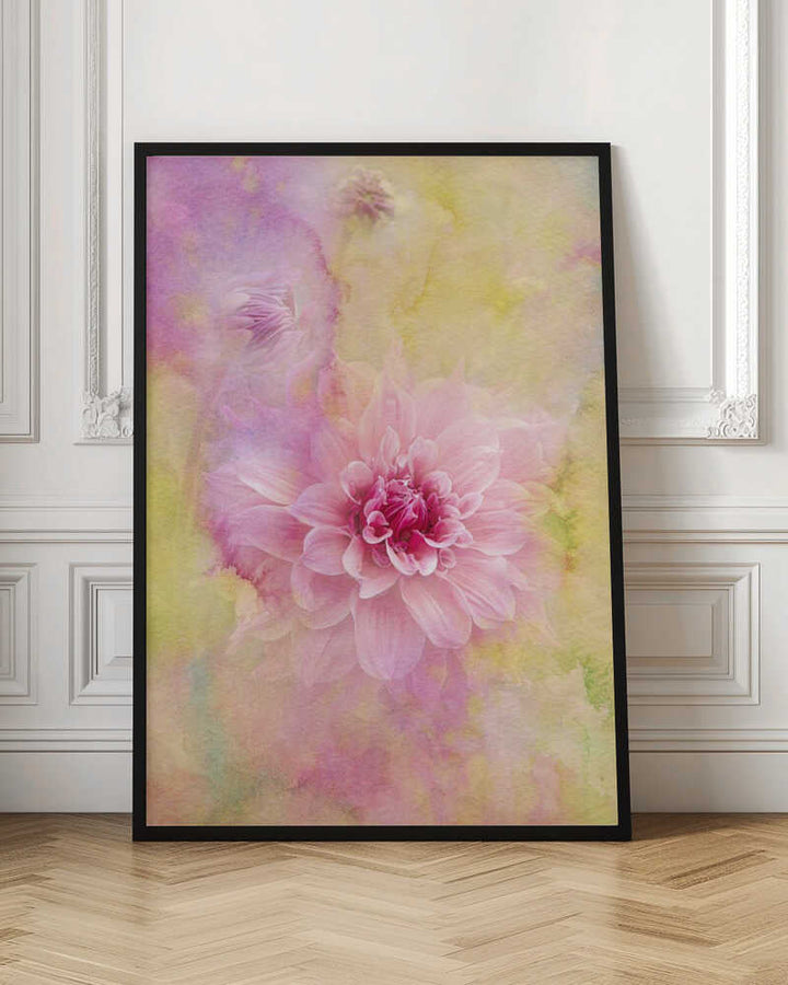 Dreamy Pink Dahlia - Floral Photographic Stretched Canvas Poster or Fine Art Print