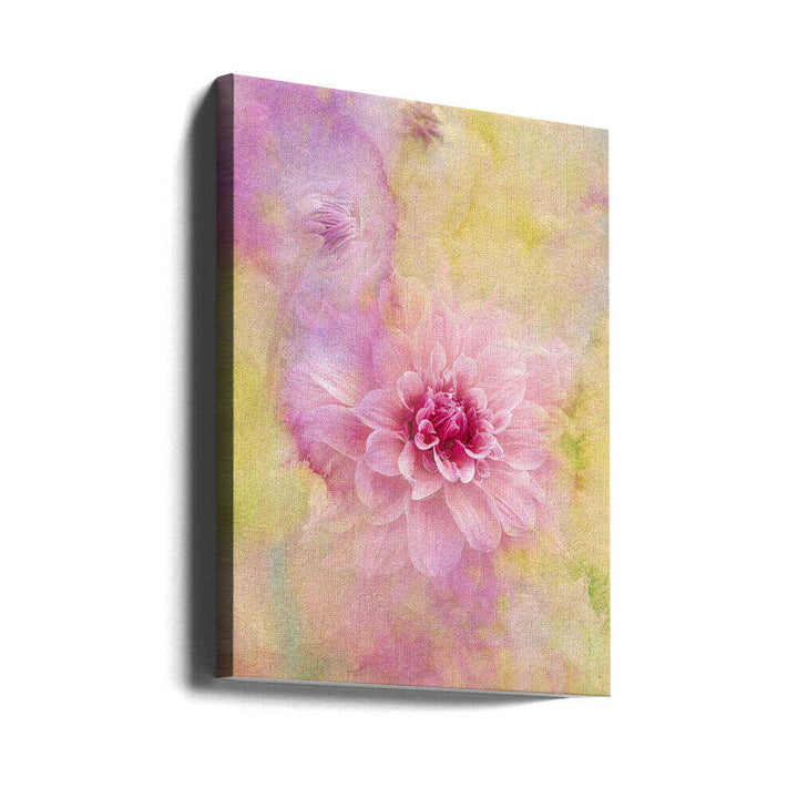 Dreamy Pink Dahlia - Floral Photographic Stretched Canvas Poster or Fine Art Print