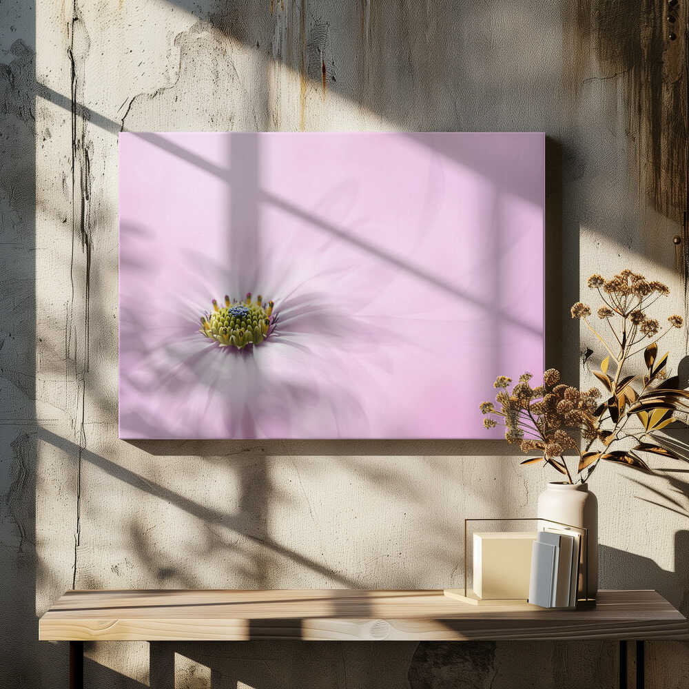 Dreamy Pink Flower - Floral Photographic Stretched Canvas Poster or Fine Art Print