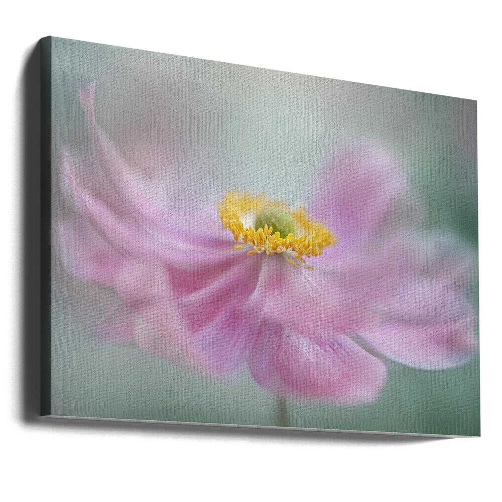 Dreamy Pink Flower - Floral Photographic Stretched Canvas Poster or Fine Art Print