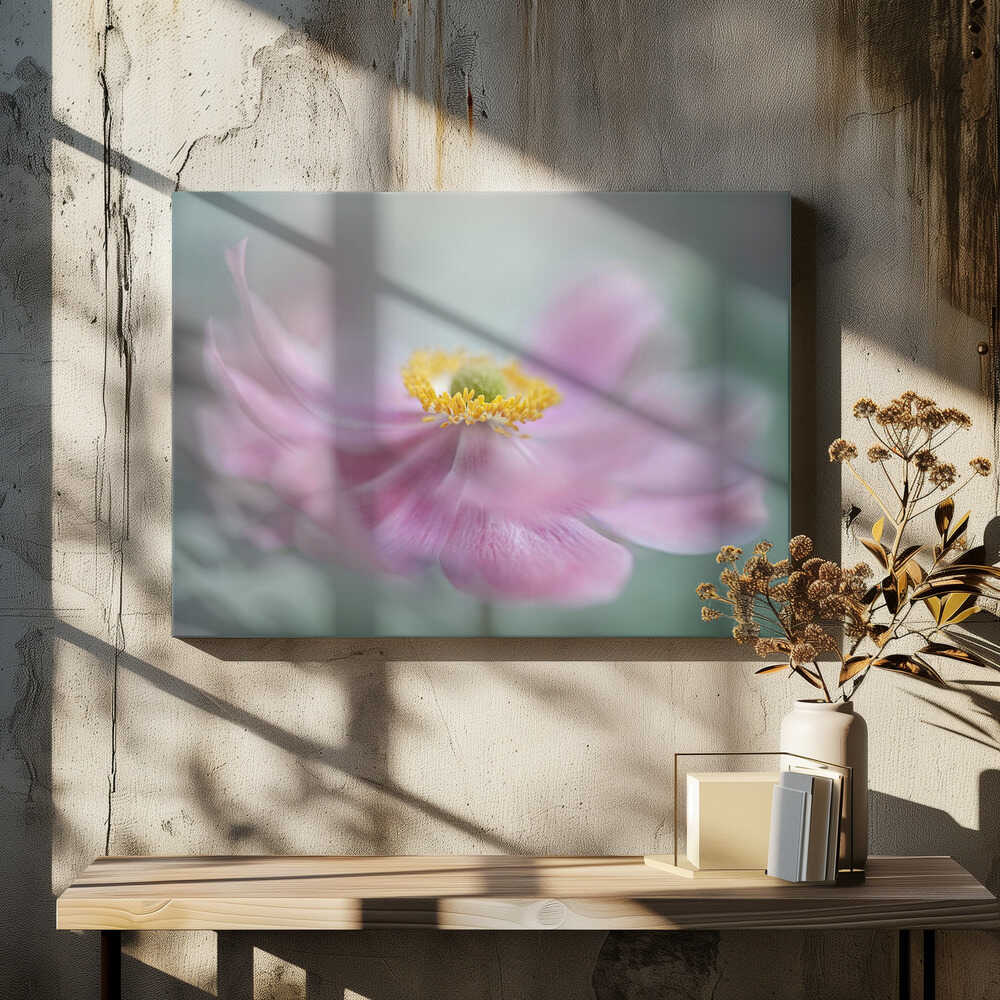 Dreamy Pink Flower - Floral Photographic Stretched Canvas Poster or Fine Art Print
