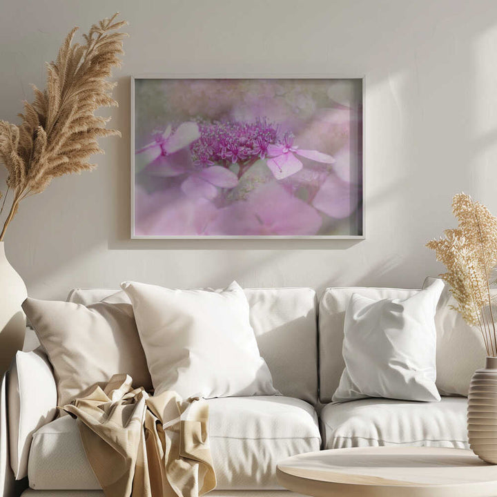Dreamy Pink Flowers - Floral Photographic Stretched Canvas Poster or Fine Art Print