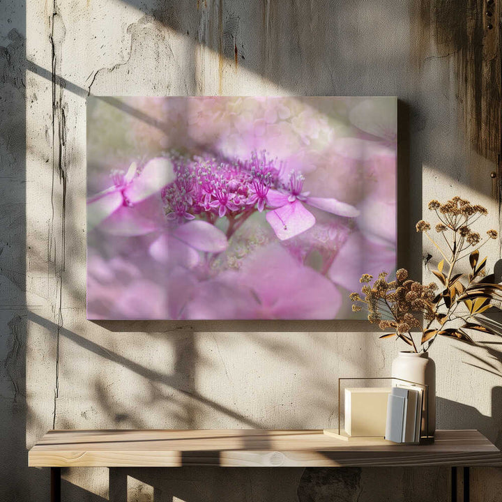 Dreamy Pink Flowers - Floral Photographic Stretched Canvas Poster or Fine Art Print