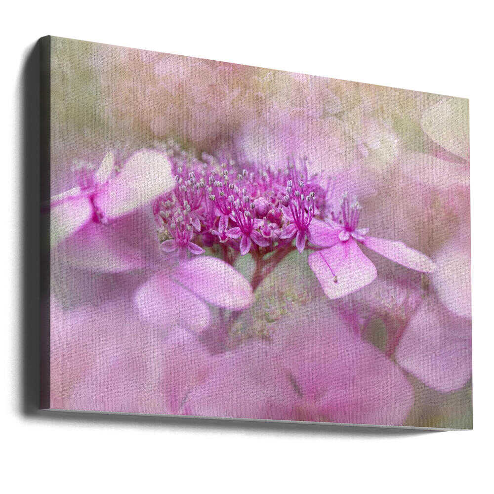 Dreamy Pink Flowers - Floral Photographic Stretched Canvas Poster or Fine Art Print