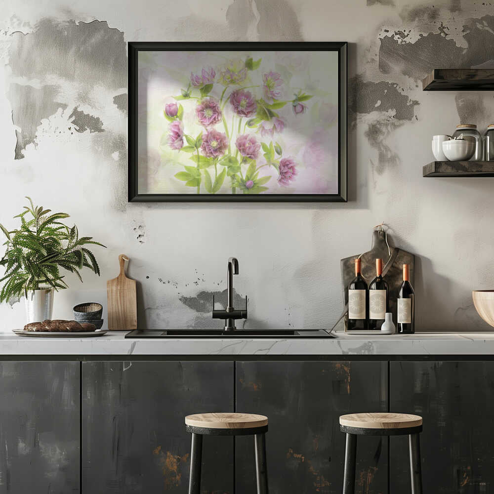 Dreamy Pink Hellebores - Floral Photographic Stretched Canvas Poster or Fine Art Print