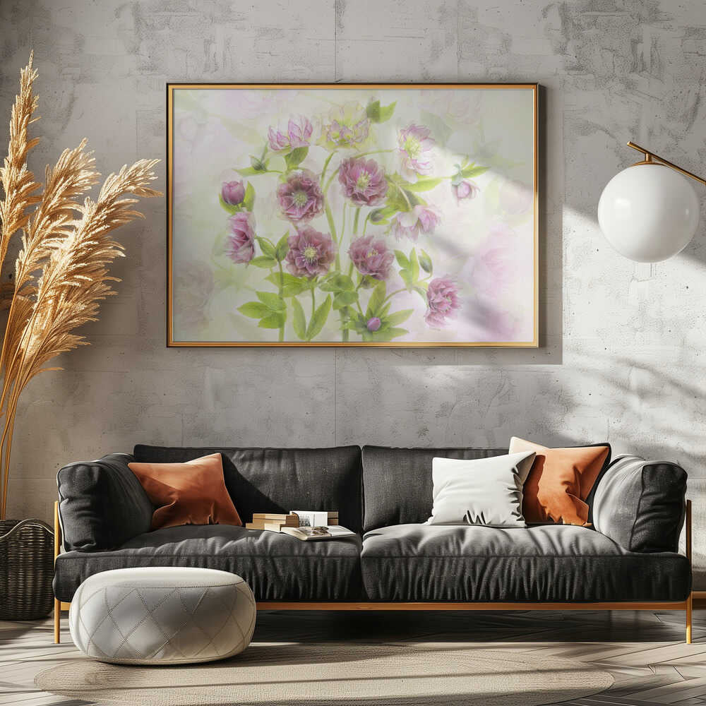Dreamy Pink Hellebores - Floral Photographic Stretched Canvas Poster or Fine Art Print