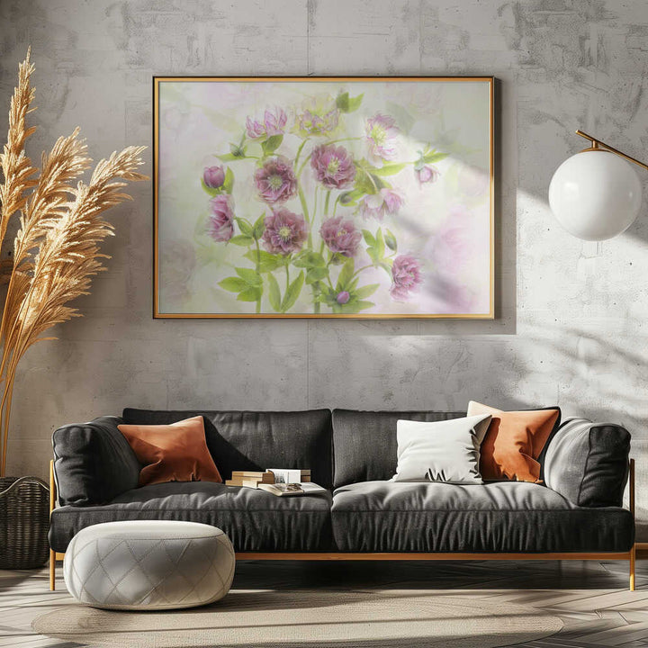 Dreamy Pink Hellebores - Floral Photographic Stretched Canvas Poster or Fine Art Print