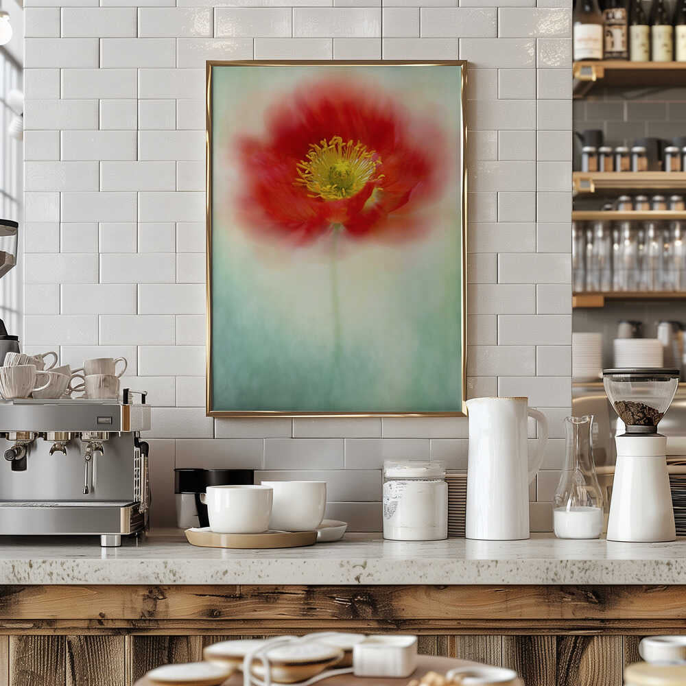 Dreamy Poppy Bloom - Floral Photographic Stretched Canvas Poster or Fine Art Print
