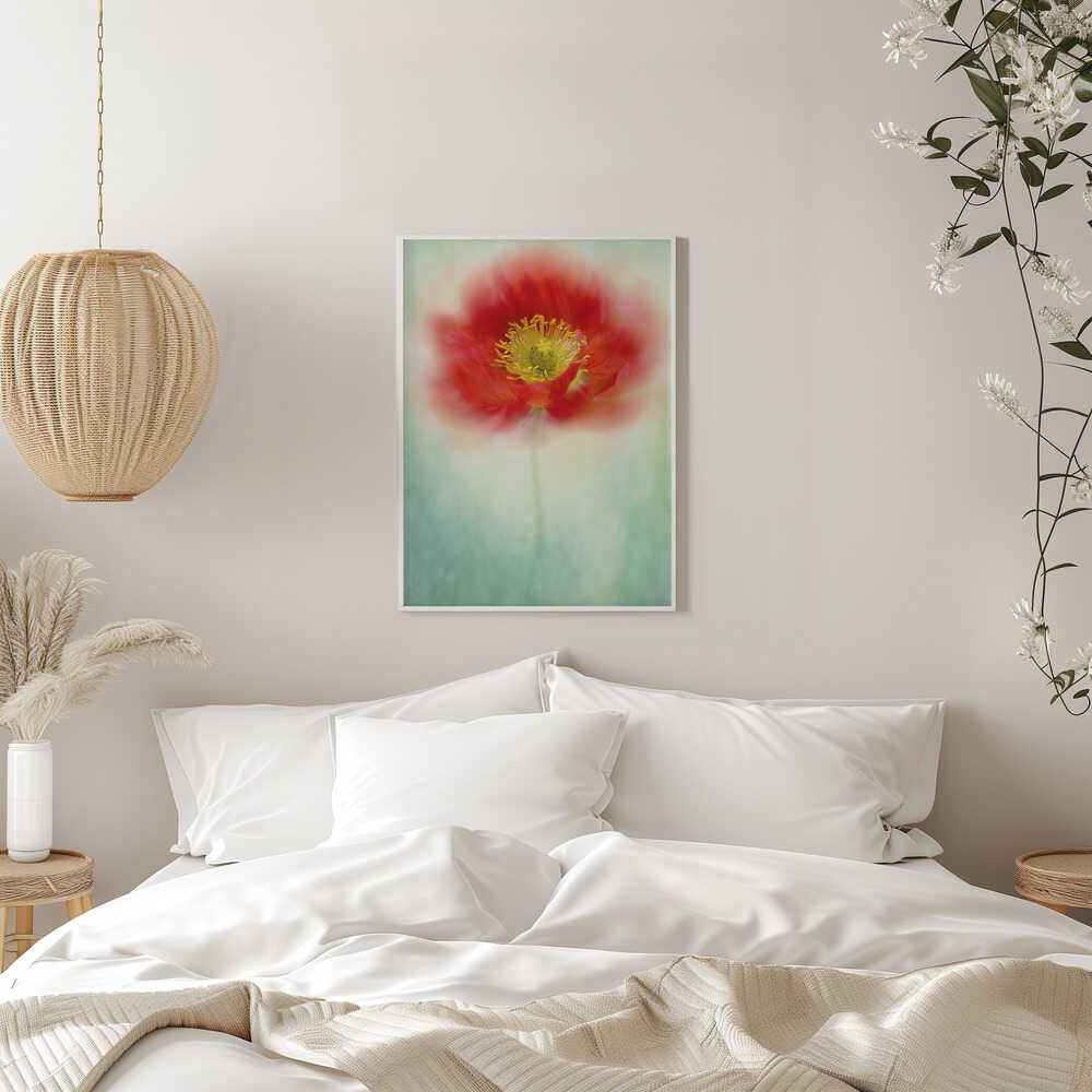 Dreamy Poppy Bloom - Floral Photographic Stretched Canvas Poster or Fine Art Print