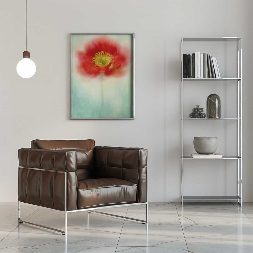 Dreamy Poppy Bloom - Floral Photographic Stretched Canvas Poster or Fine Art Print
