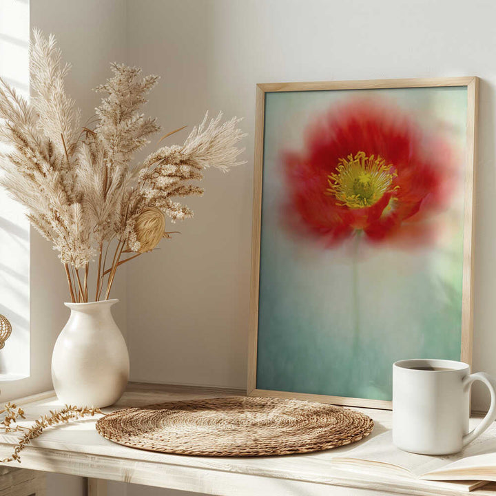 Dreamy Poppy Bloom - Floral Photographic Stretched Canvas Poster or Fine Art Print
