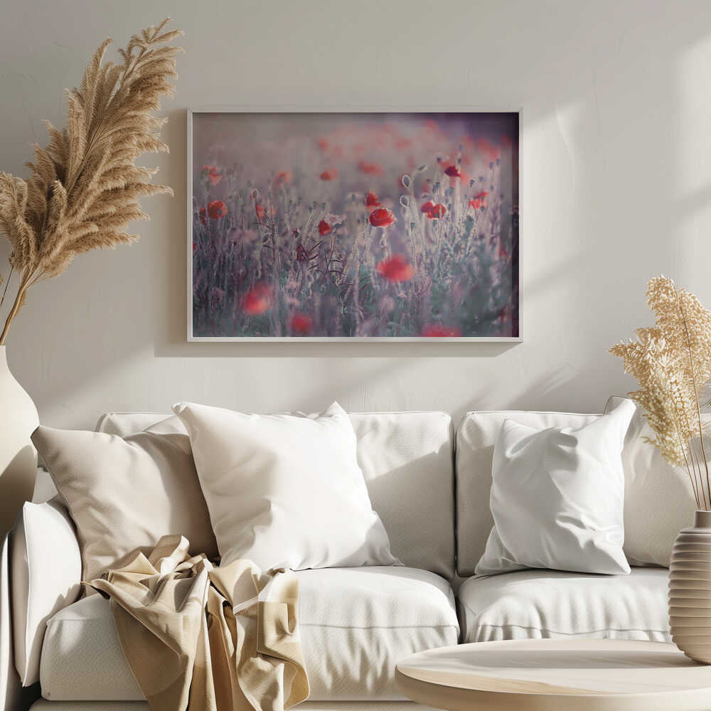 Dreamy Poppy Field - Floral Photographic Stretched Canvas Poster or Fine Art Print