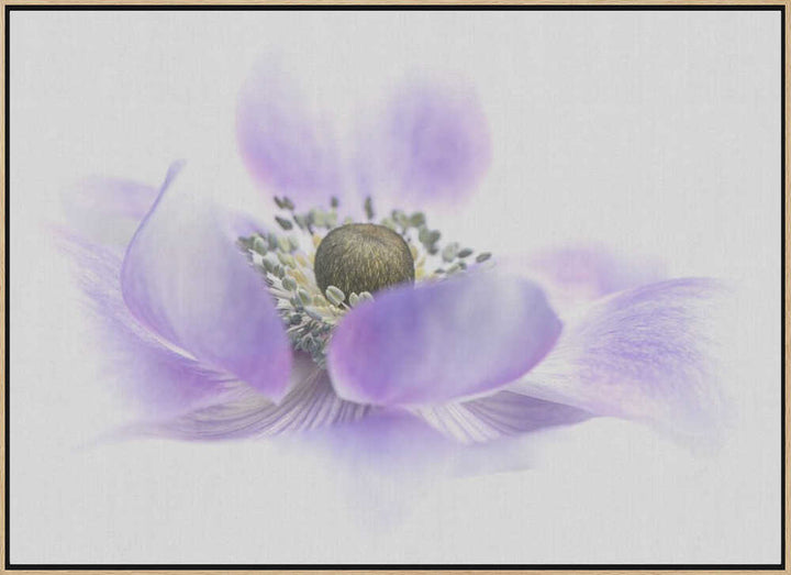 Dreamy Purple Blossom - Floral Photographic Stretched Canvas Poster or Fine Art Print