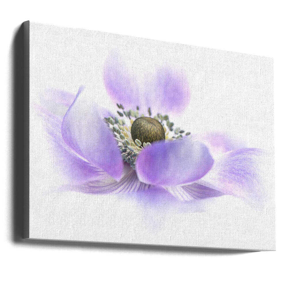 Dreamy Purple Blossom - Floral Photographic Stretched Canvas Poster or Fine Art Print