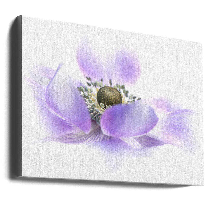 Dreamy Purple Blossom - Floral Photographic Stretched Canvas Poster or Fine Art Print