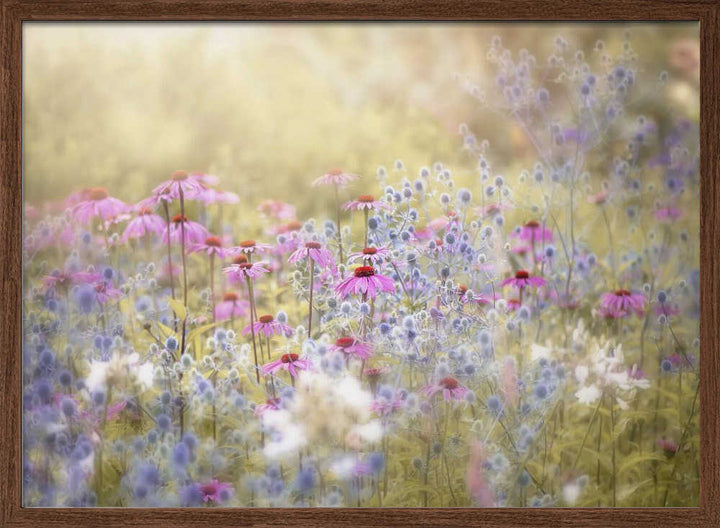 Dreamy Purple Flowers - Floral Photographic Stretched Canvas Poster or Fine Art Print