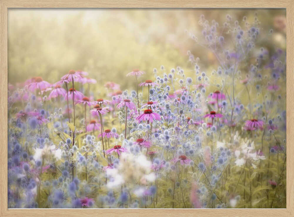 Dreamy Purple Flowers - Floral Photographic Stretched Canvas Poster or Fine Art Print