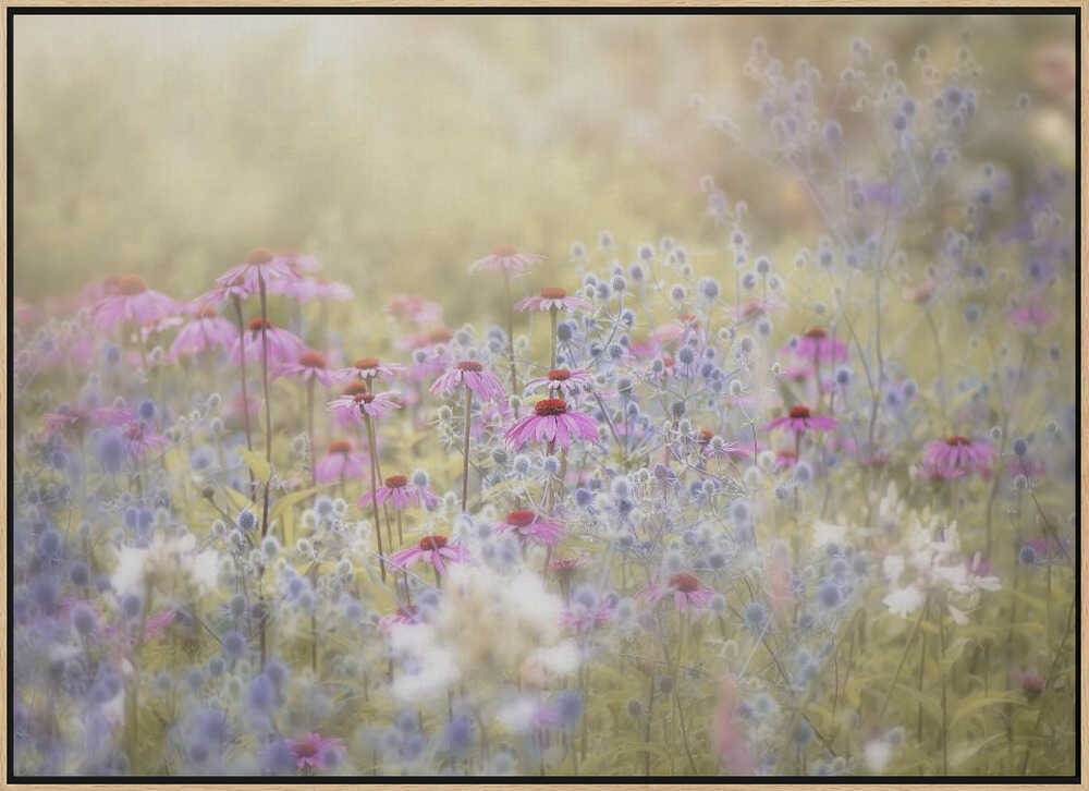 Dreamy Purple Flowers - Floral Photographic Stretched Canvas Poster or Fine Art Print
