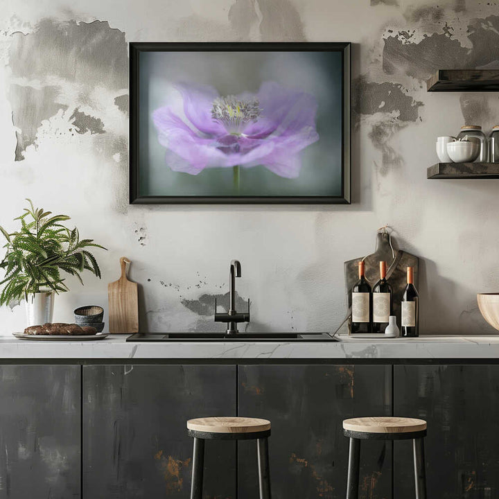 Dreamy Purple Poppy Flower - Floral Photographic Stretched Canvas Poster or Fine Art Print