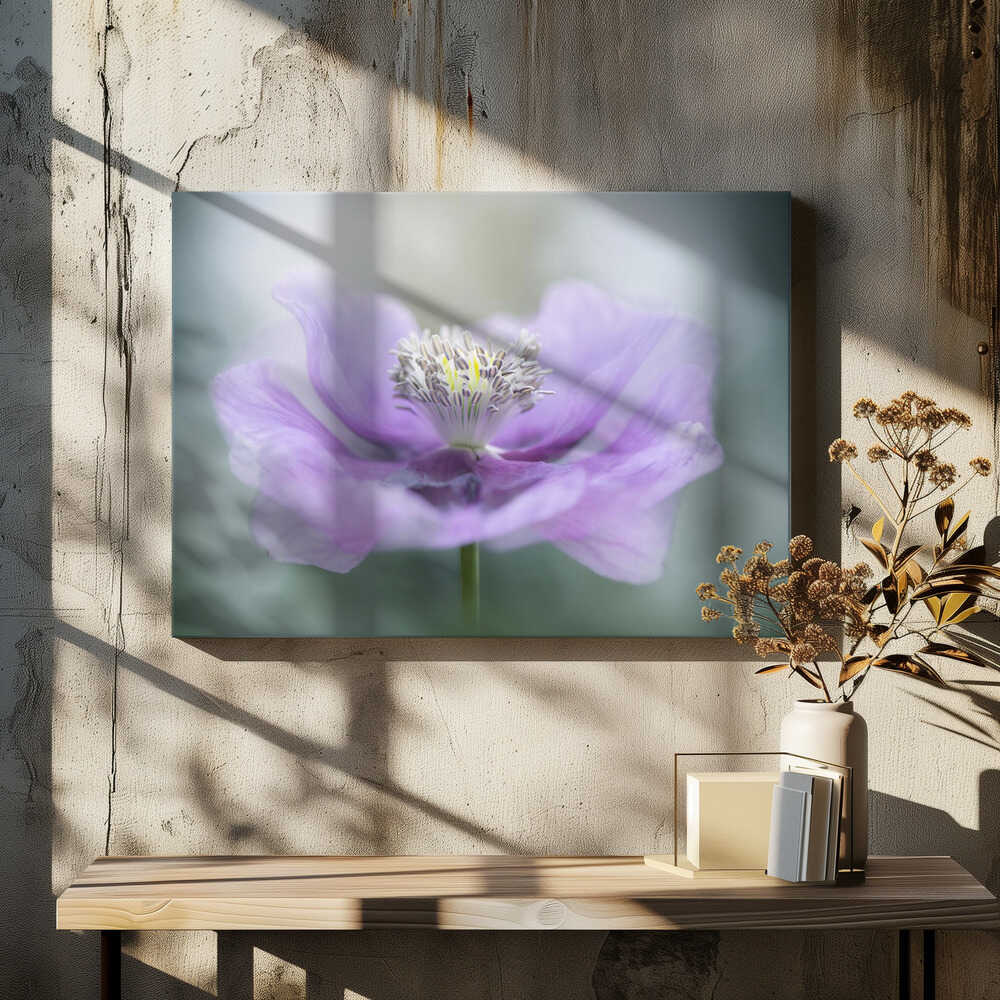 Dreamy Purple Poppy Flower - Floral Photographic Stretched Canvas Poster or Fine Art Print