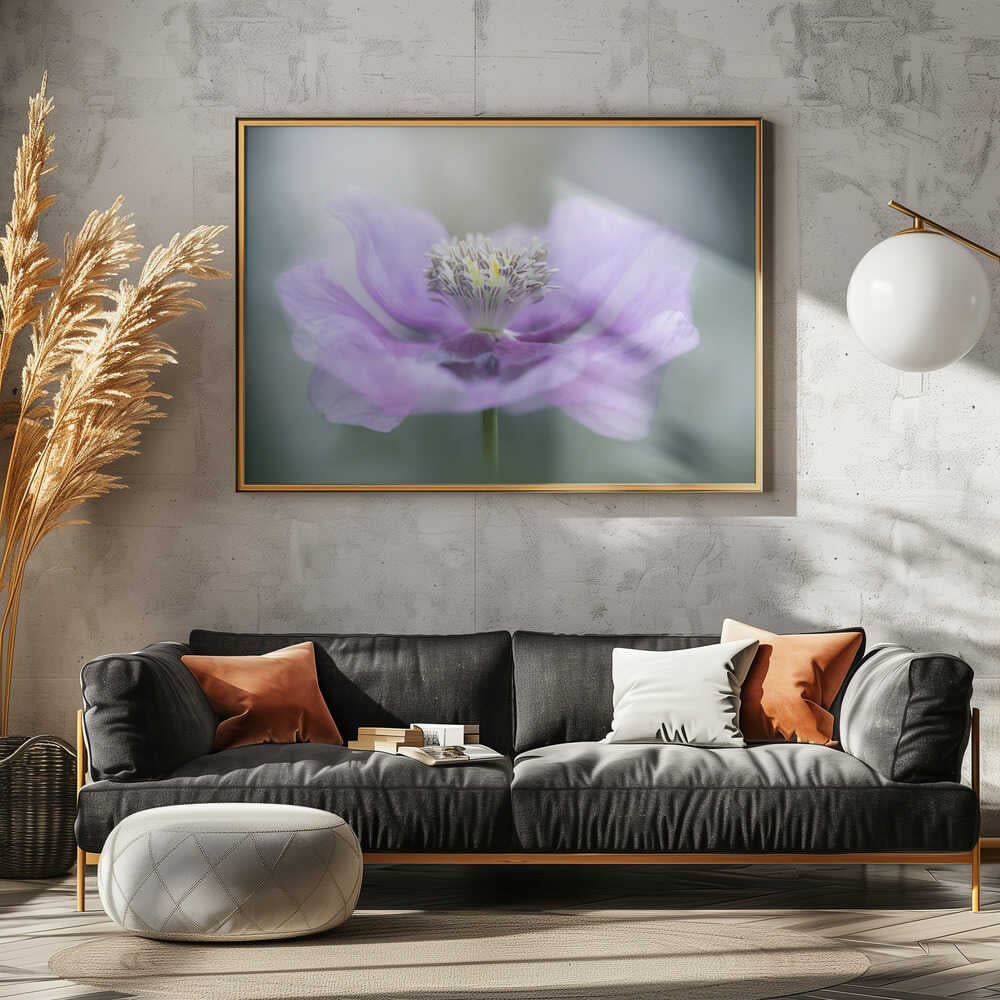 Dreamy Purple Poppy Flower - Floral Photographic Stretched Canvas Poster or Fine Art Print