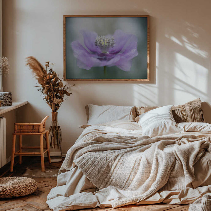 Dreamy Purple Poppy Flower - Floral Photographic Stretched Canvas Poster or Fine Art Print