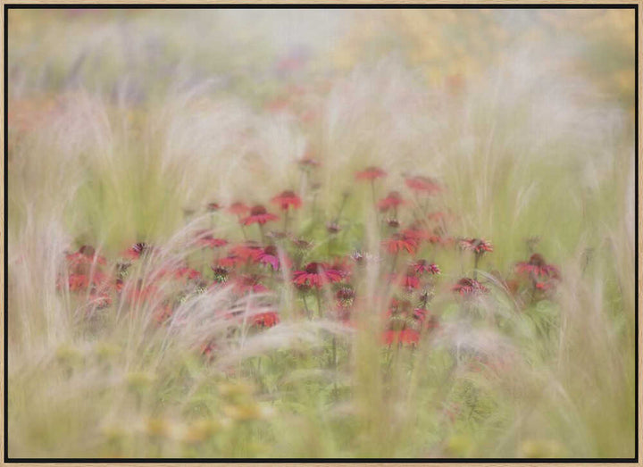 Dreamy Red Flowers - Floral Photographic Stretched Canvas Poster or Fine Art Print