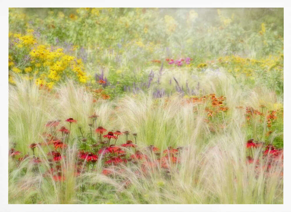 Dreamy Summer Meadow - Floral Photographic Stretched Canvas Poster or Fine Art Print