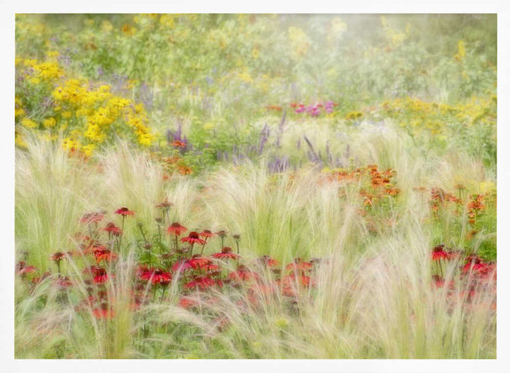 Dreamy Summer Meadow - Floral Photographic Stretched Canvas Poster or Fine Art Print