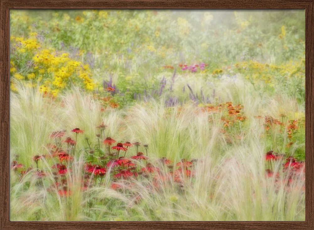 Dreamy Summer Meadow - Floral Photographic Stretched Canvas Poster or Fine Art Print