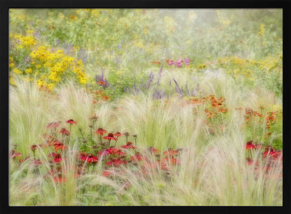 Dreamy Summer Meadow - Floral Photographic Stretched Canvas Poster or Fine Art Print