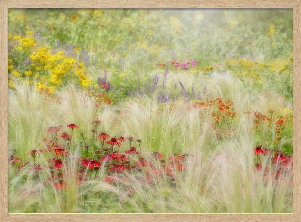 Dreamy Summer Meadow - Floral Photographic Stretched Canvas Poster or Fine Art Print