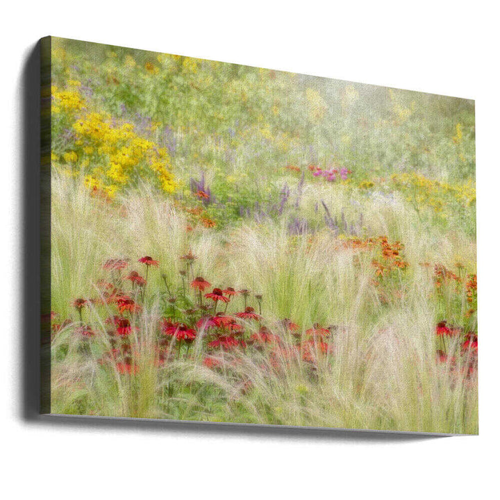 Dreamy Summer Meadow - Floral Photographic Stretched Canvas Poster or Fine Art Print