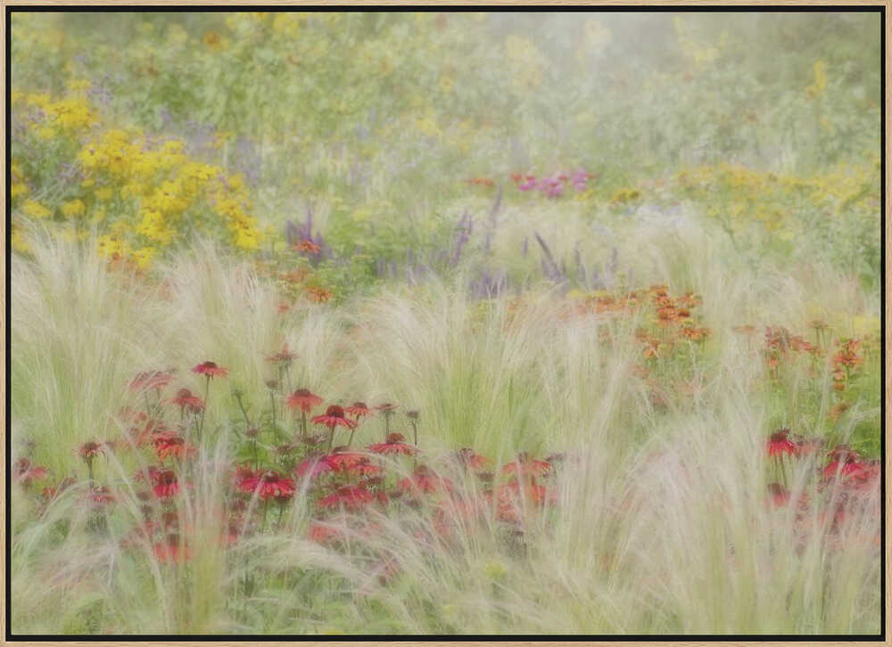 Dreamy Summer Meadow - Floral Photographic Stretched Canvas Poster or Fine Art Print