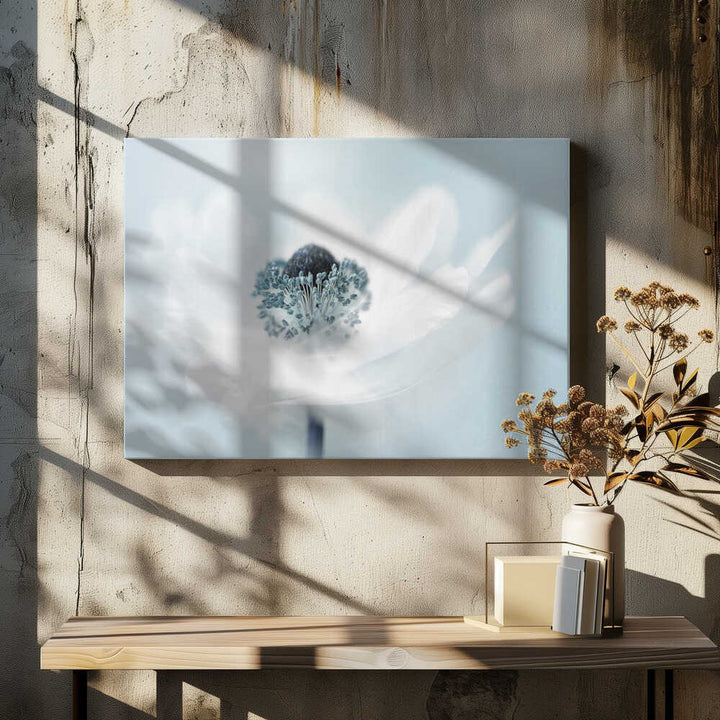 Dreamy White Anemone - Floral Photographic Stretched Canvas Poster or Fine Art Print