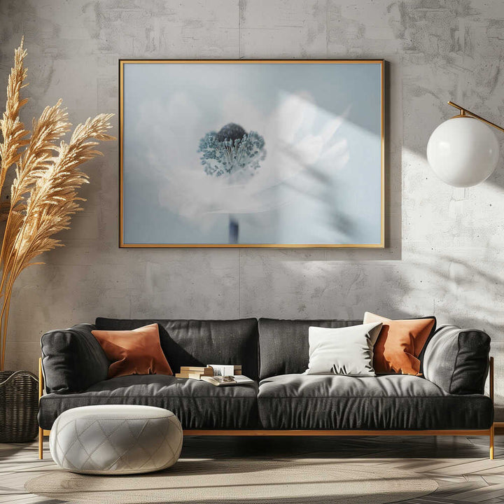 Dreamy White Anemone - Floral Photographic Stretched Canvas Poster or Fine Art Print