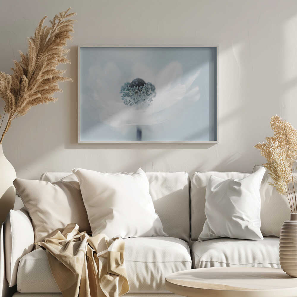 Dreamy White Anemone - Floral Photographic Stretched Canvas Poster or Fine Art Print