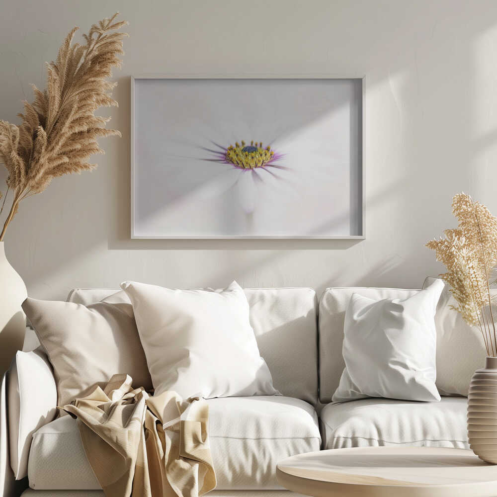 Dreamy White Daisy - Floral Photographic Stretched Canvas Poster or Fine Art Print