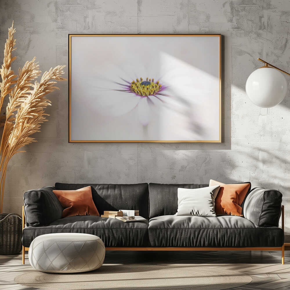 Dreamy White Daisy - Floral Photographic Stretched Canvas Poster or Fine Art Print