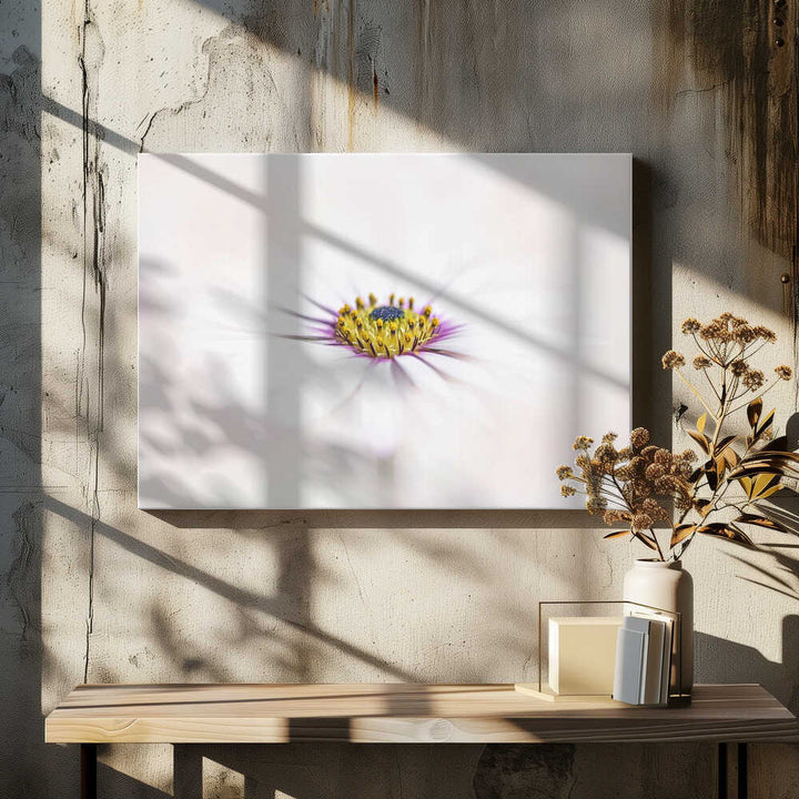 Dreamy White Daisy - Floral Photographic Stretched Canvas Poster or Fine Art Print