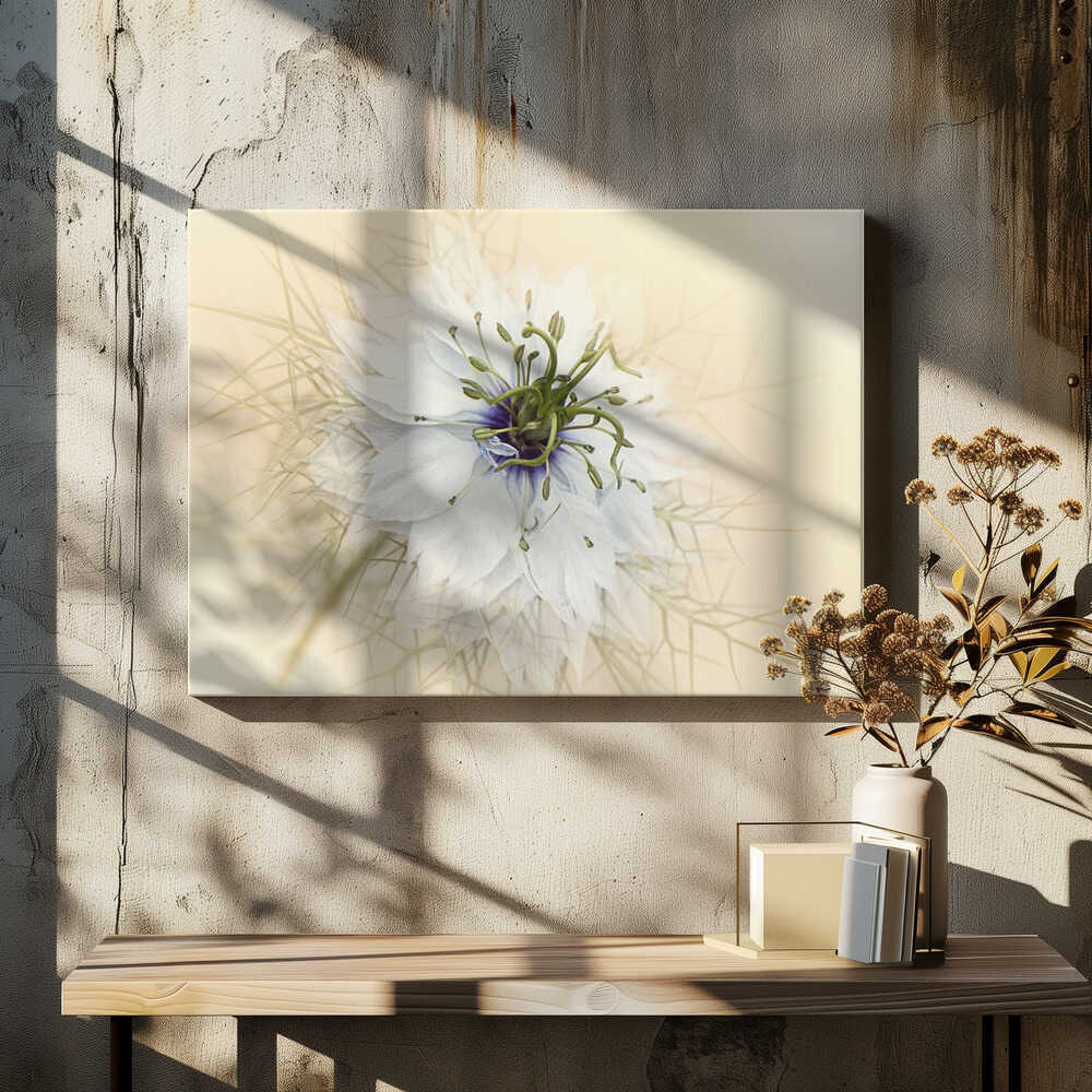 Dreamy White Flower - Floral Photographic Stretched Canvas Poster or Fine Art Print