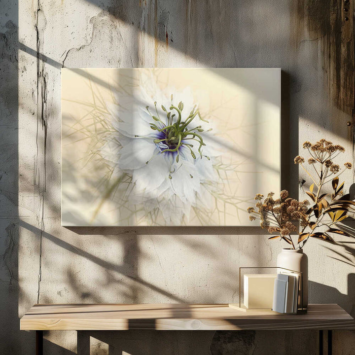 Dreamy White Flower - Floral Photographic Stretched Canvas Poster or Fine Art Print