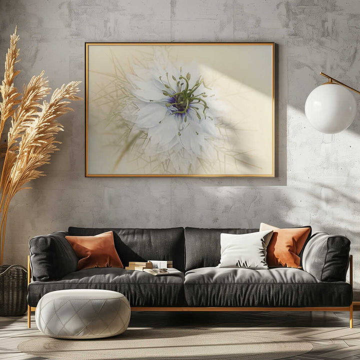 Dreamy White Flower - Floral Photographic Stretched Canvas Poster or Fine Art Print