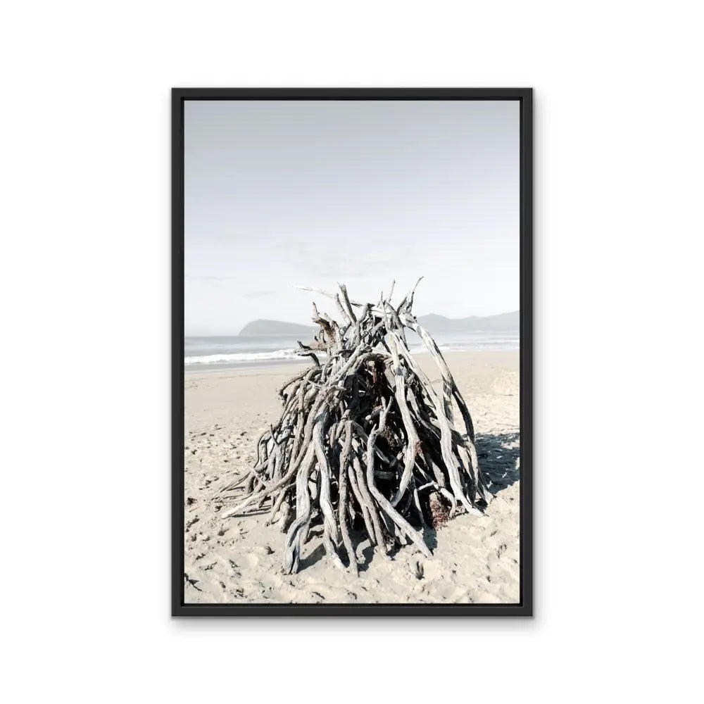 A framed photographic print of weathered driftwood on a sandy beach under an overcast sky by Edwina Cameron
