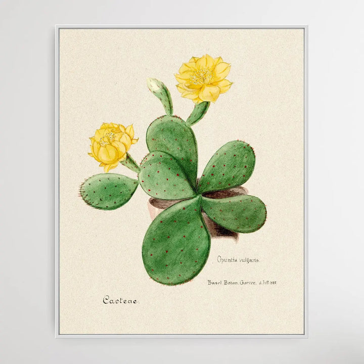 Eastern Prickly Pear cactus I Heart Wall Art Australia 