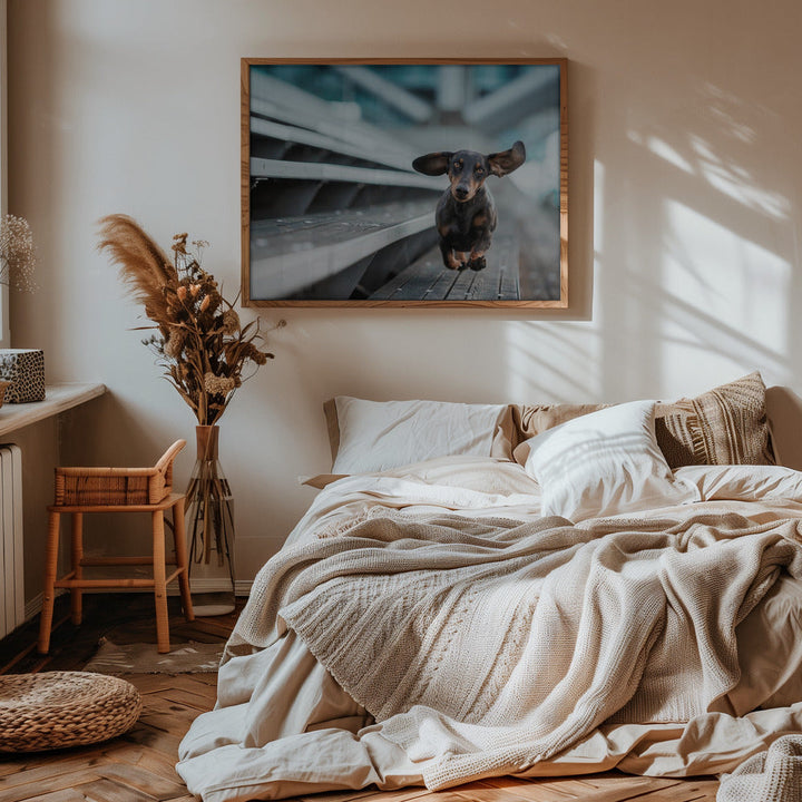 Ein kleiner Hund läuft durch die Welt.... - Stretched Canvas, Poster or Fine Art Print I Heart Wall Art