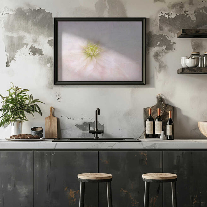 Elegant Pastel Bloom - Stretched Canvas Poster or Fine Art Print