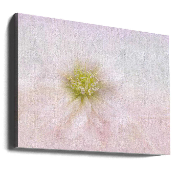 Elegant Pastel Bloom - Stretched Canvas Poster or Fine Art Print